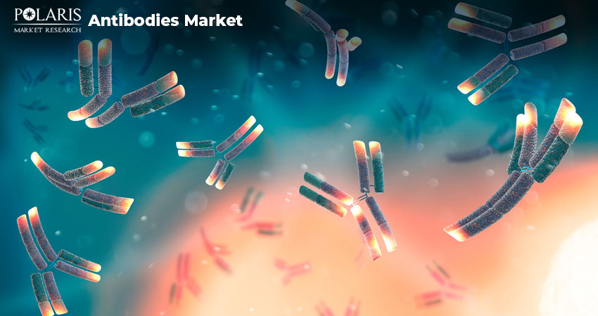 Understanding the Science Behind Antibody Therapeutics